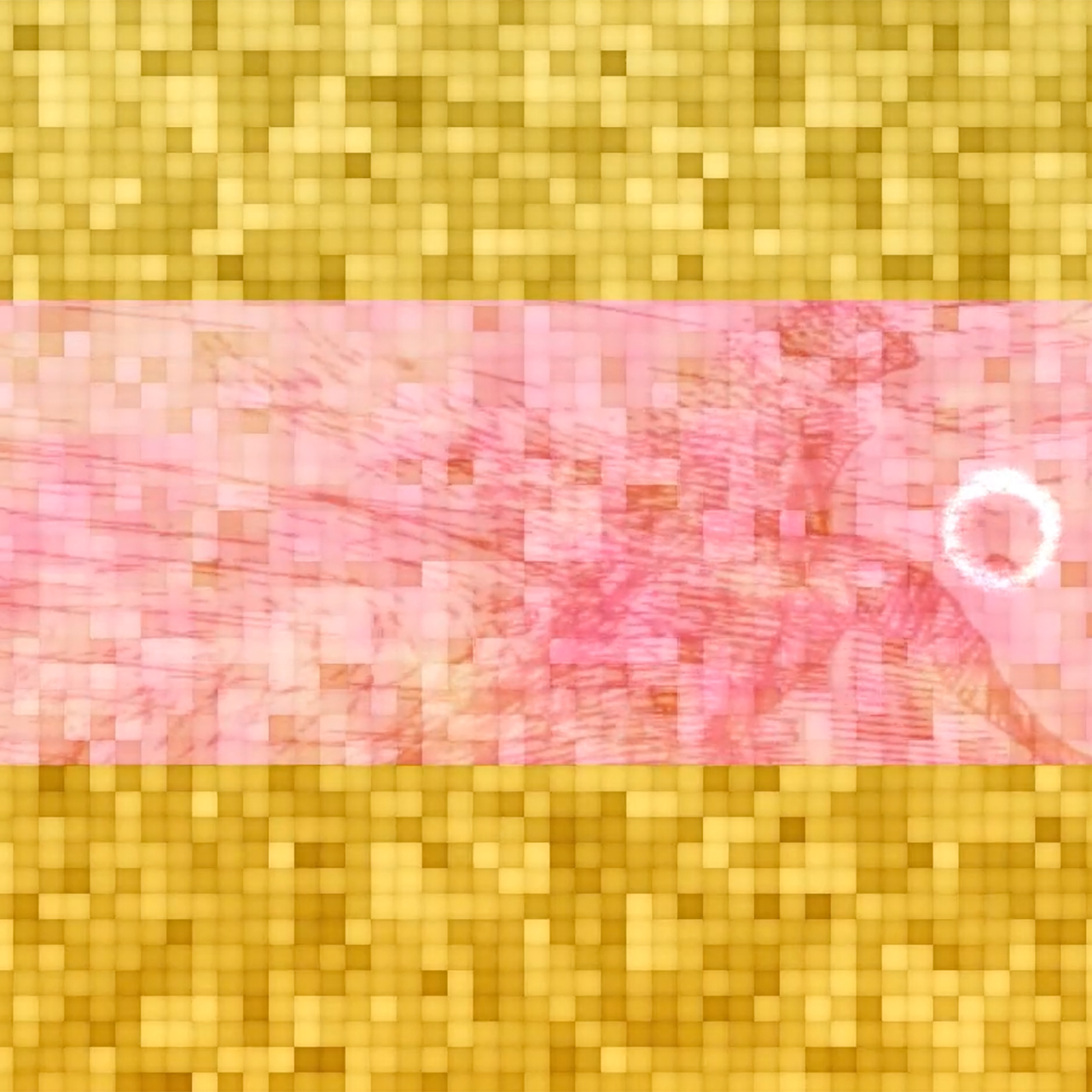 Transit of Venus 2023